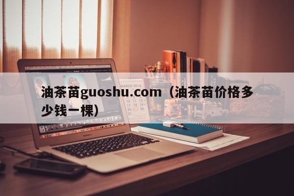 油茶苗guoshu.com（油茶苗价格多少钱一棵）