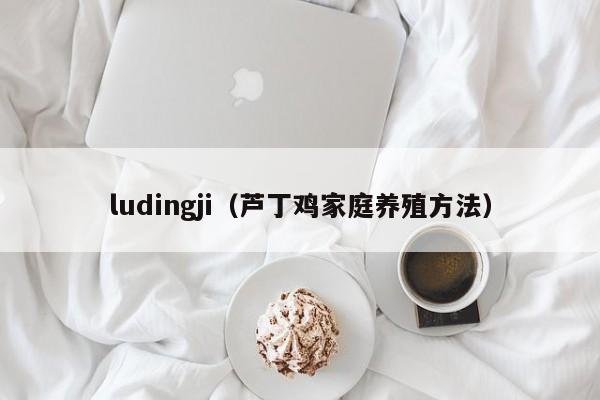 ludingji（芦丁鸡家庭养殖方法）